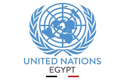منظمة الأمم المتحدة (UN)